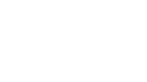 06remica